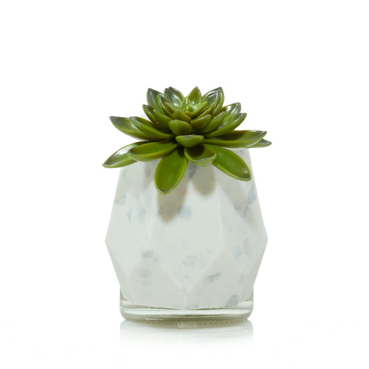 Faceted Succulent ScentPlug® Diffuser with Light GQJI